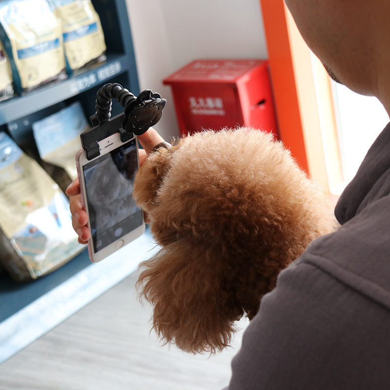 📸 PetSelfie: Captura la Mejor Sonrisa de tu Mascota