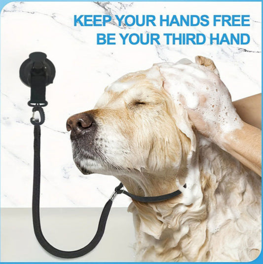 AquaGrip : Sujeción Segura para un Baño sin Estrés. Cuerda con Ventosa para Mascotas Inquietas