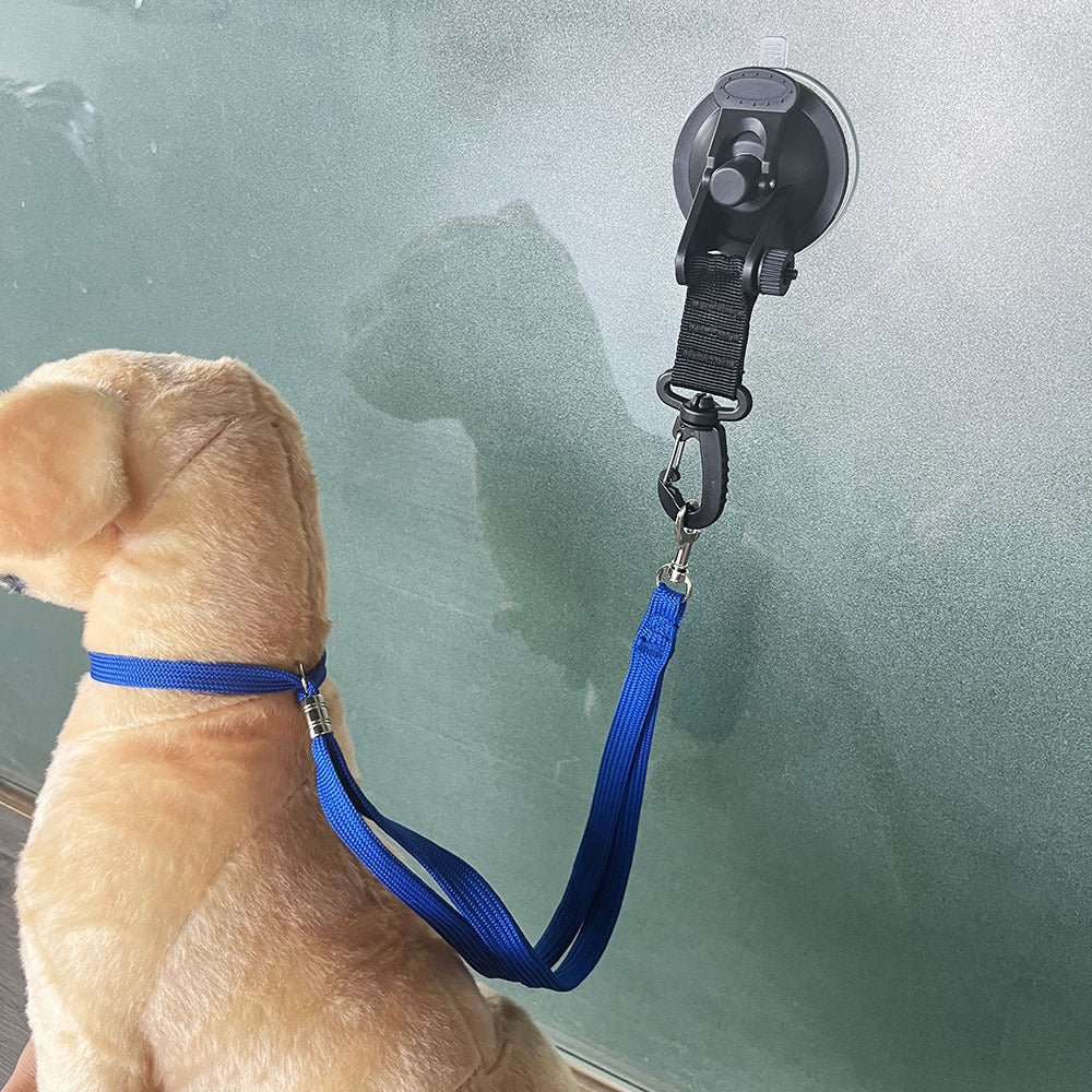 AquaGrip : Sujeción Segura para un Baño sin Estrés. Cuerda con Ventosa para Mascotas Inquietas
